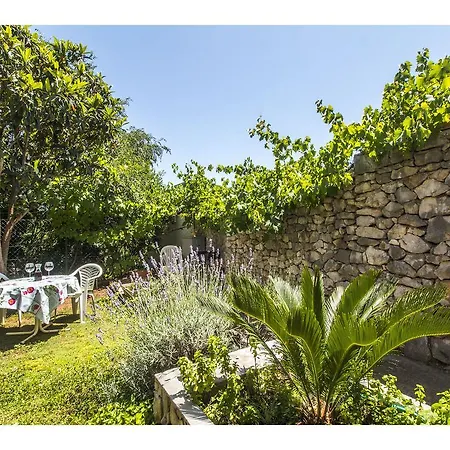 Marjan Garden *